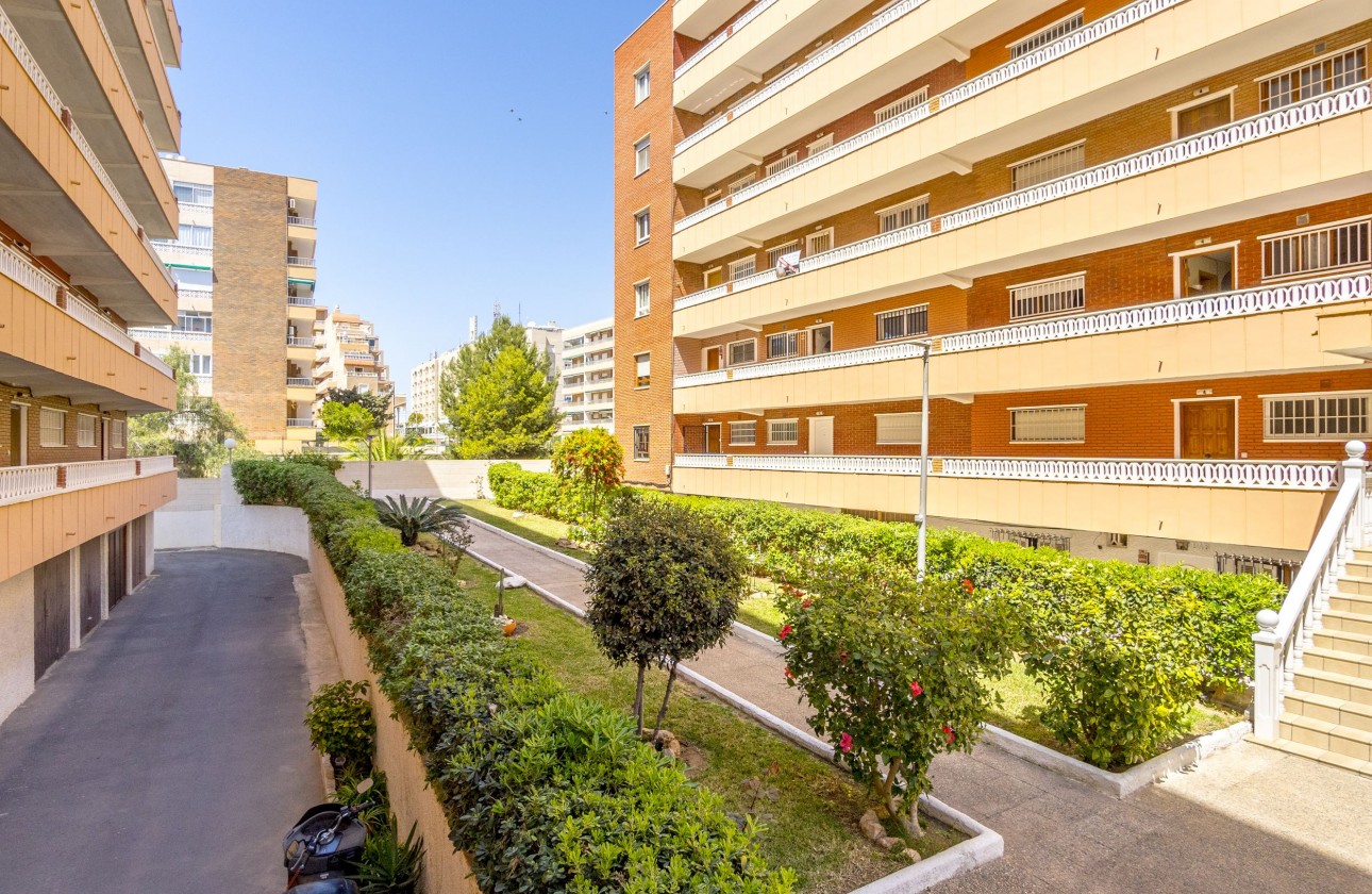 Reventa - Apartamento - Punta Prima