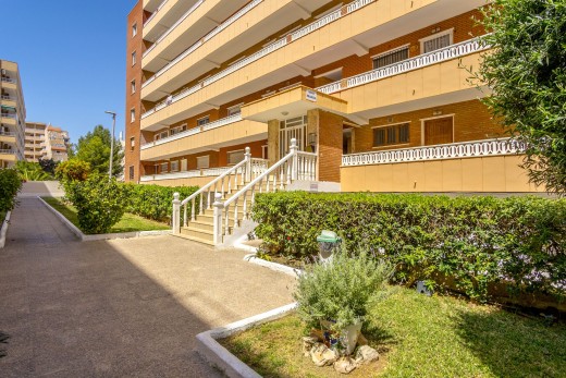 Reventa - Apartamento - Punta Prima