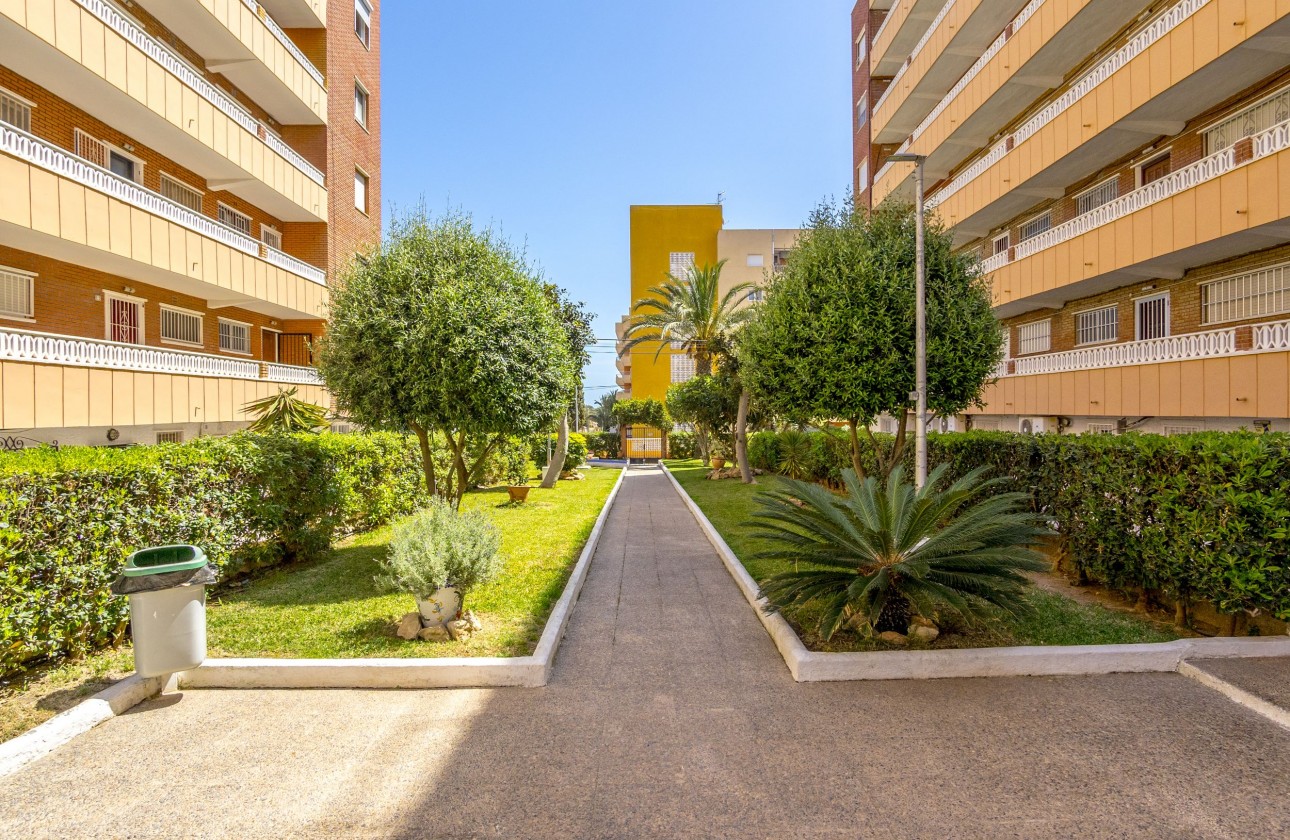 Reventa - Apartamento - Punta Prima