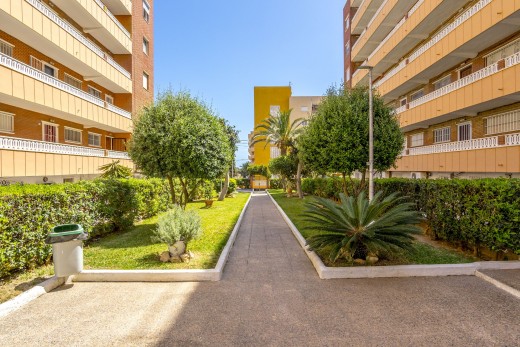 Reventa - Apartamento - Punta Prima