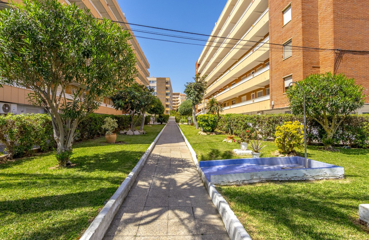 Reventa - Apartamento - Punta Prima