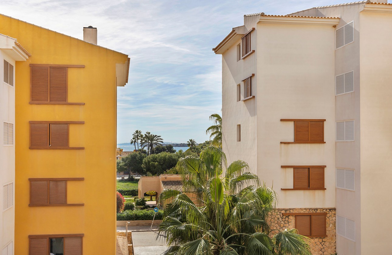 Reventa - Apartamento - Torrevieja - Punta prima