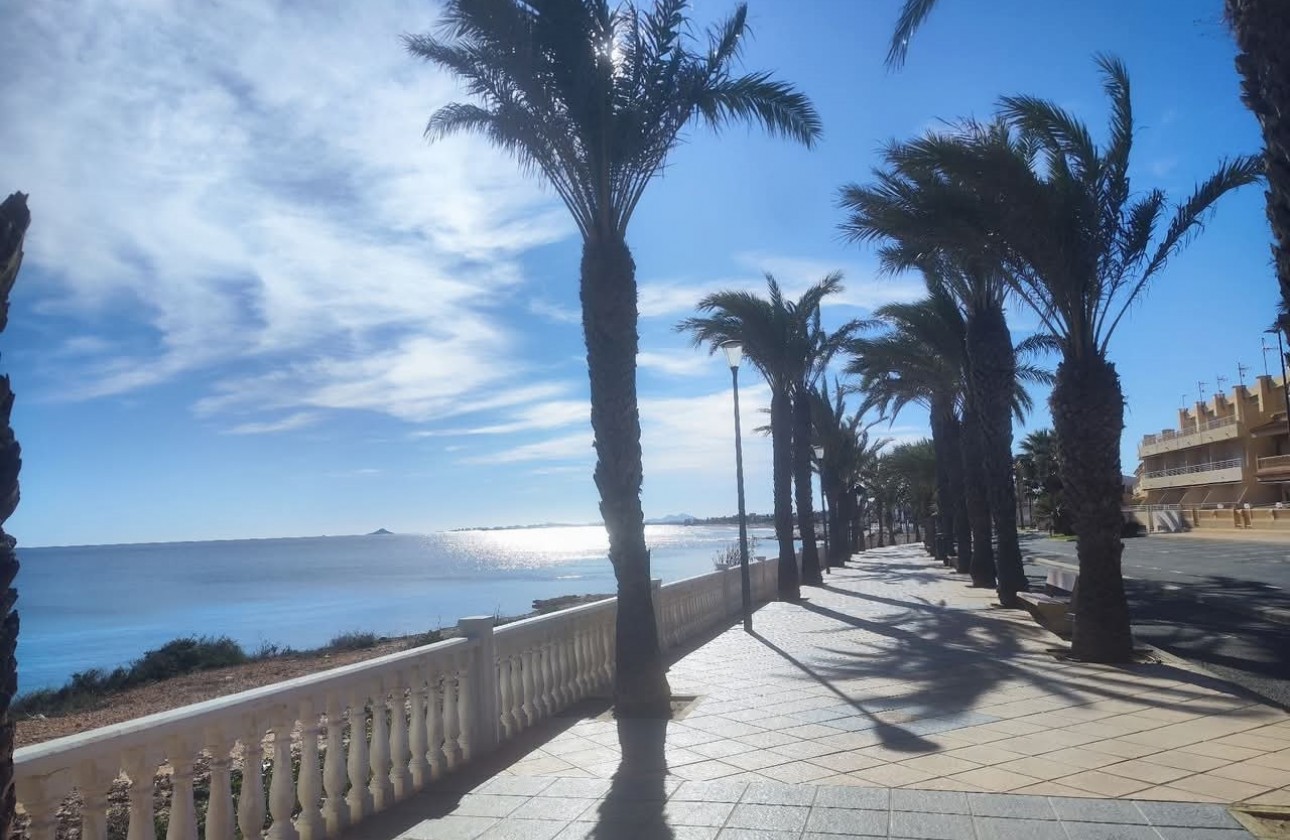 Nuevo - Chalet - Torre Pacheco