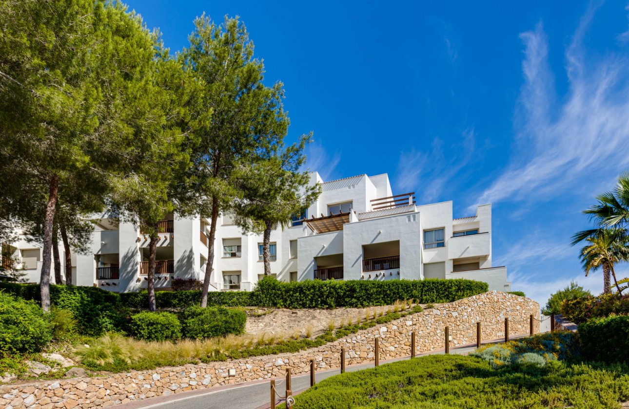 Resale - Apartment / Flat - Las Colinas