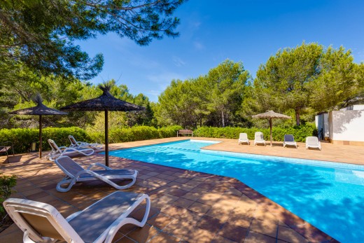 Resale - Apartment / Flat - Las Colinas