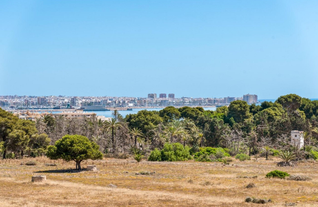 Reventa - Apartamento - Torrevieja - Punta prima