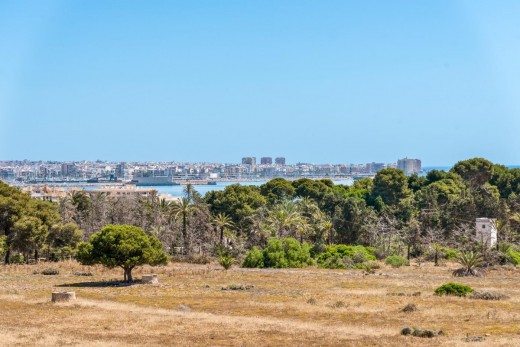 Reventa - Apartamento - Torrevieja - Punta prima