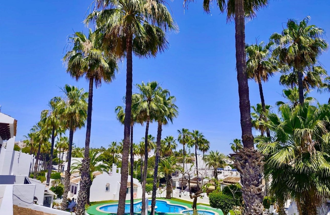 Reventa - Planta Baja - Orihuela Costa - Villamartin