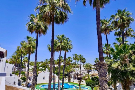 Reventa - Planta Baja - Orihuela Costa - Villamartin