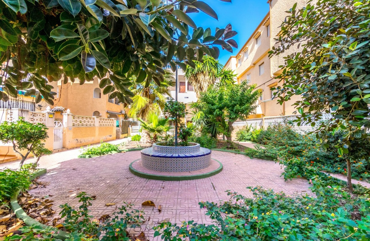 Reventa - Apartamento - Torrevieja - Los Europeos