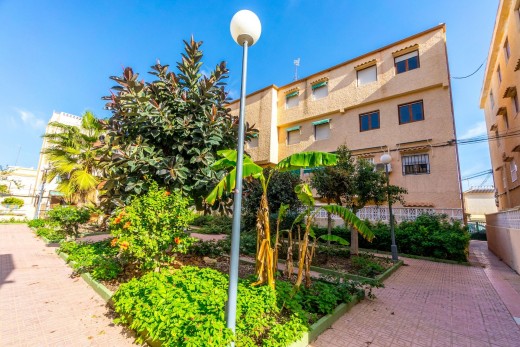 Reventa - Apartamento - Torrevieja - Los Europeos
