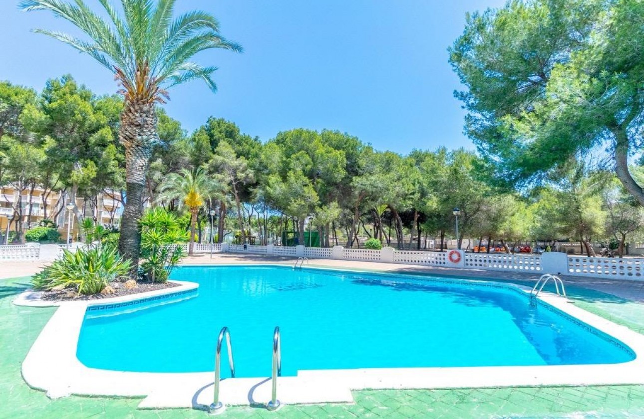 Reventa - Apartamento - Orihuela Costa - Altos de Campoamor