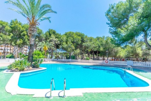 Reventa - Apartamento - Orihuela Costa - Altos de Campoamor