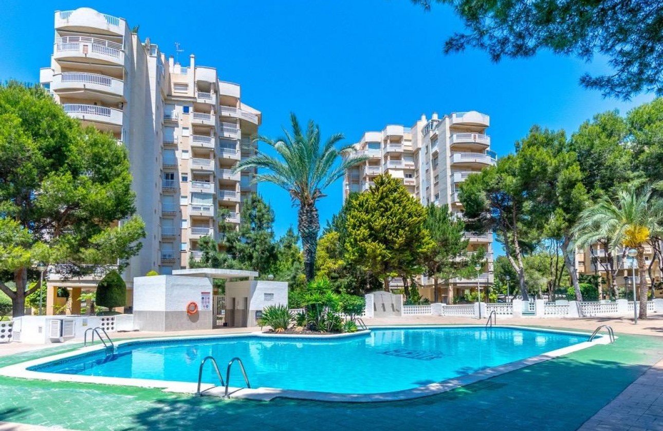 Reventa - Apartamento - Orihuela Costa - Altos de Campoamor