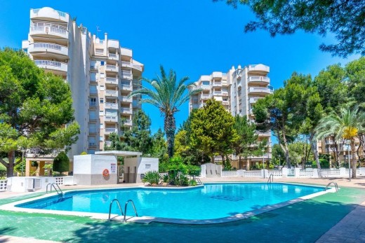 Reventa - Apartamento - Orihuela Costa - Altos de Campoamor