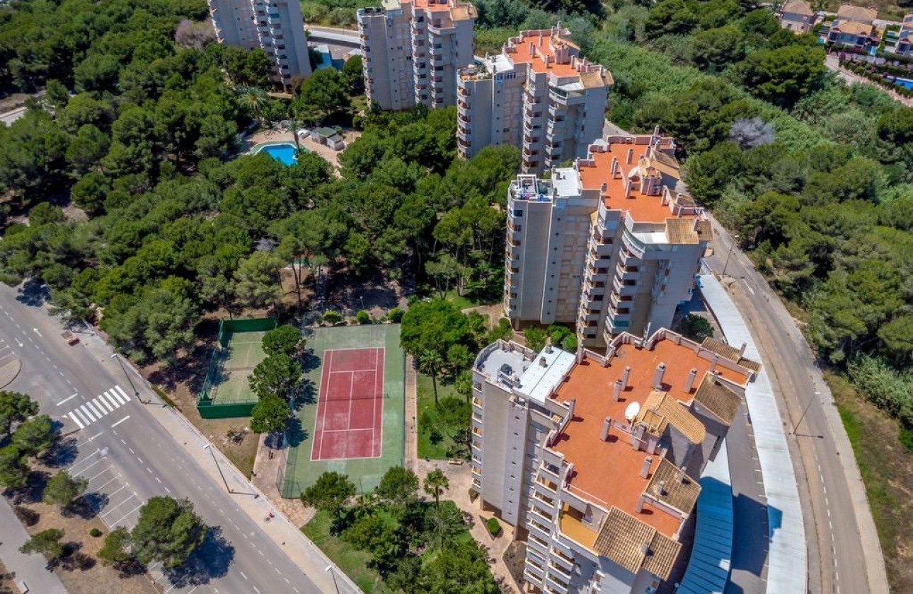 Reventa - Apartamento - Orihuela Costa - Altos de Campoamor