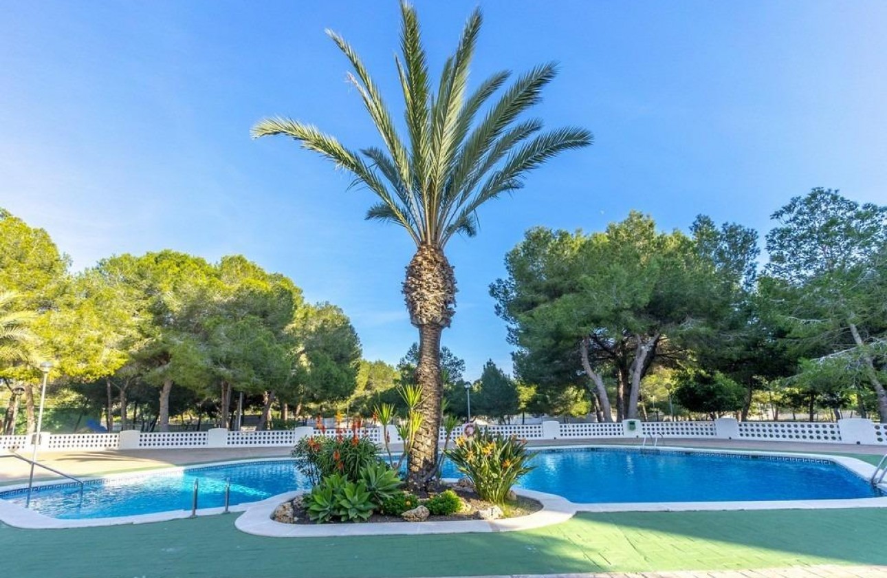 Reventa - Apartamento - Orihuela Costa - Altos de Campoamor