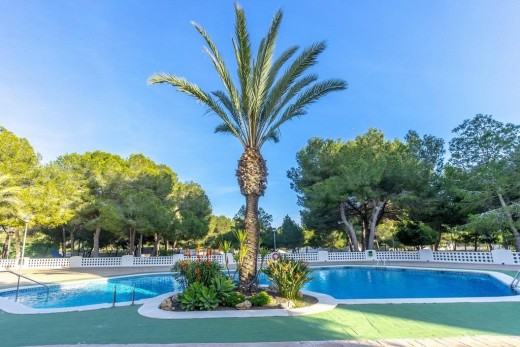 Reventa - Apartamento - Orihuela Costa - Altos de Campoamor