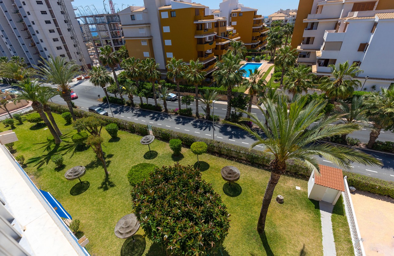Återförsäljning -  - Torrevieja - Rocio del Mar