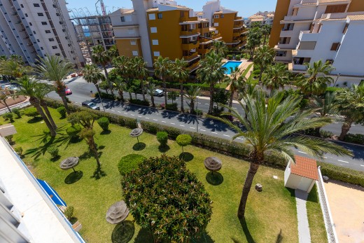 Återförsäljning -  - Torrevieja - Rocio del Mar