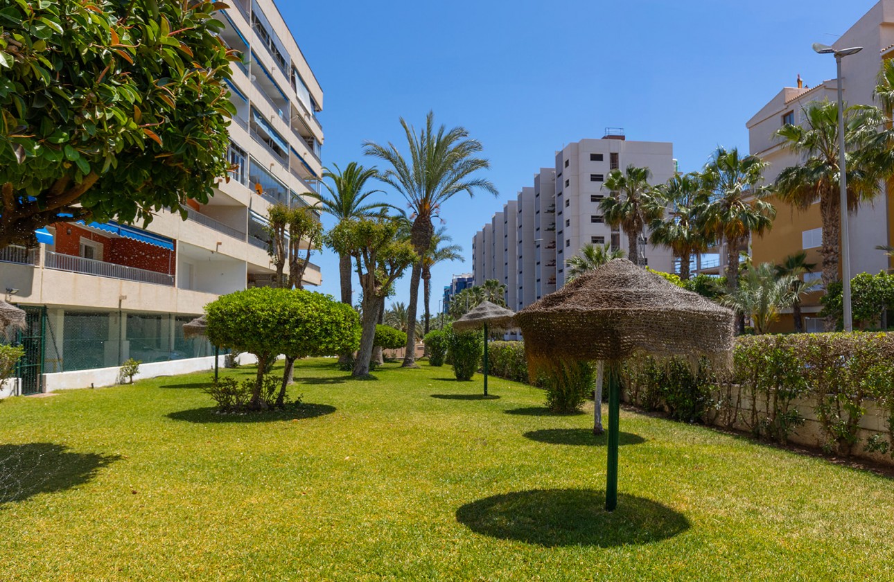 Återförsäljning -  - Torrevieja - Rocio del Mar