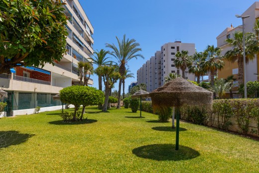 Återförsäljning -  - Torrevieja - Rocio del Mar
