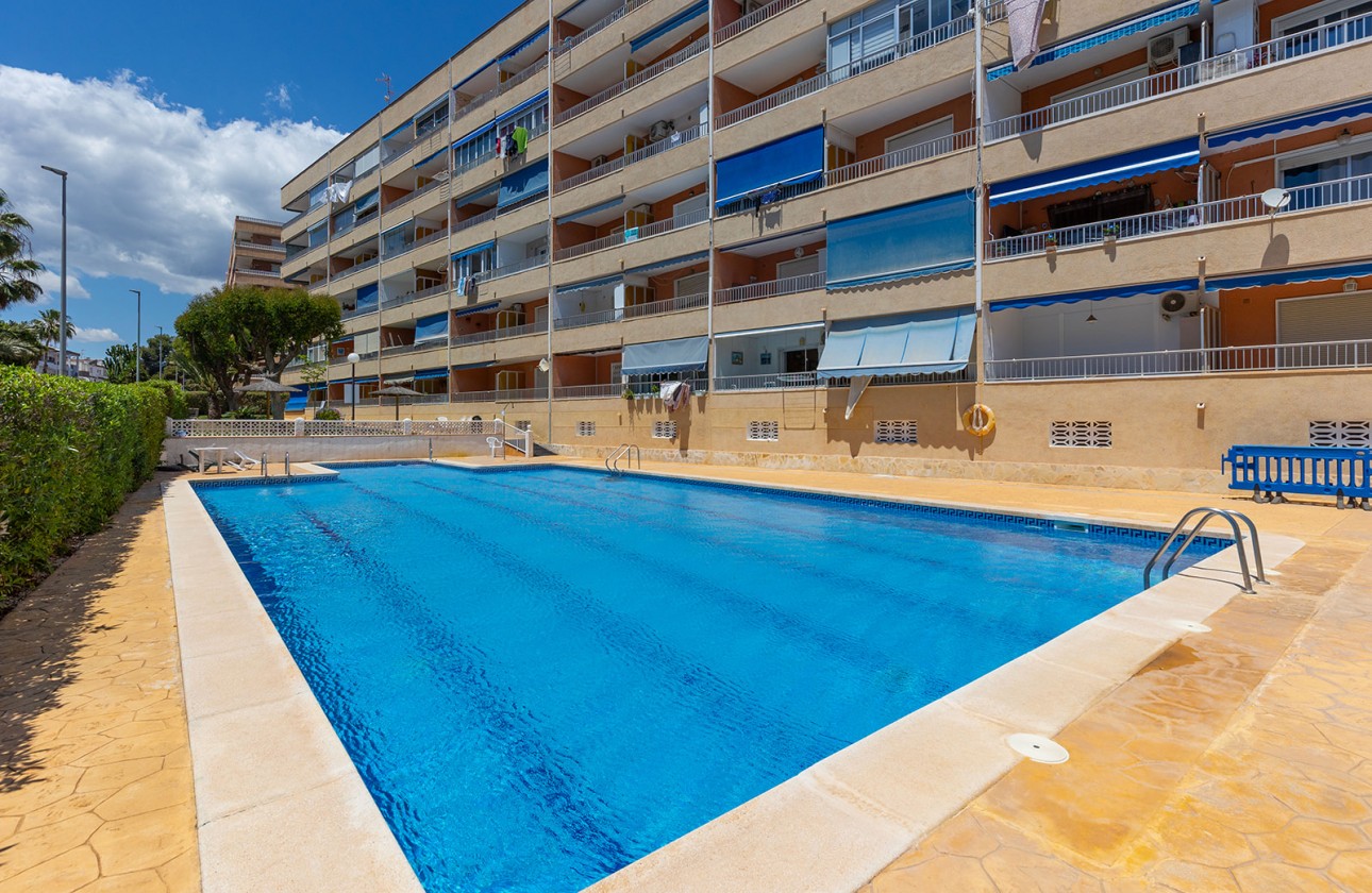 Återförsäljning -  - Torrevieja - Rocio del Mar