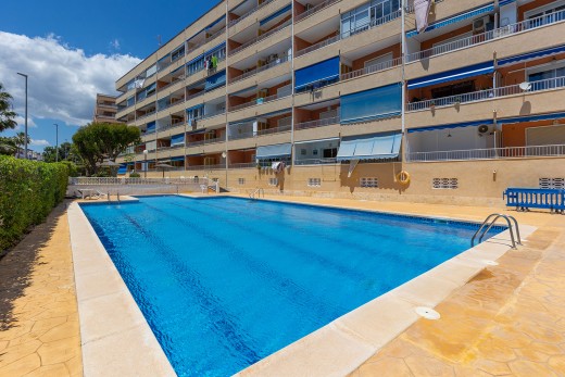Återförsäljning -  - Torrevieja - Rocio del Mar