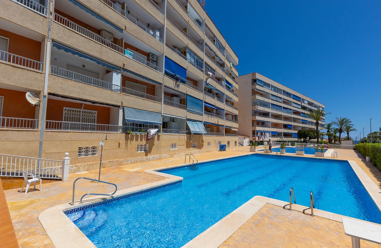 Återförsäljning -  - Torrevieja - Rocio del Mar