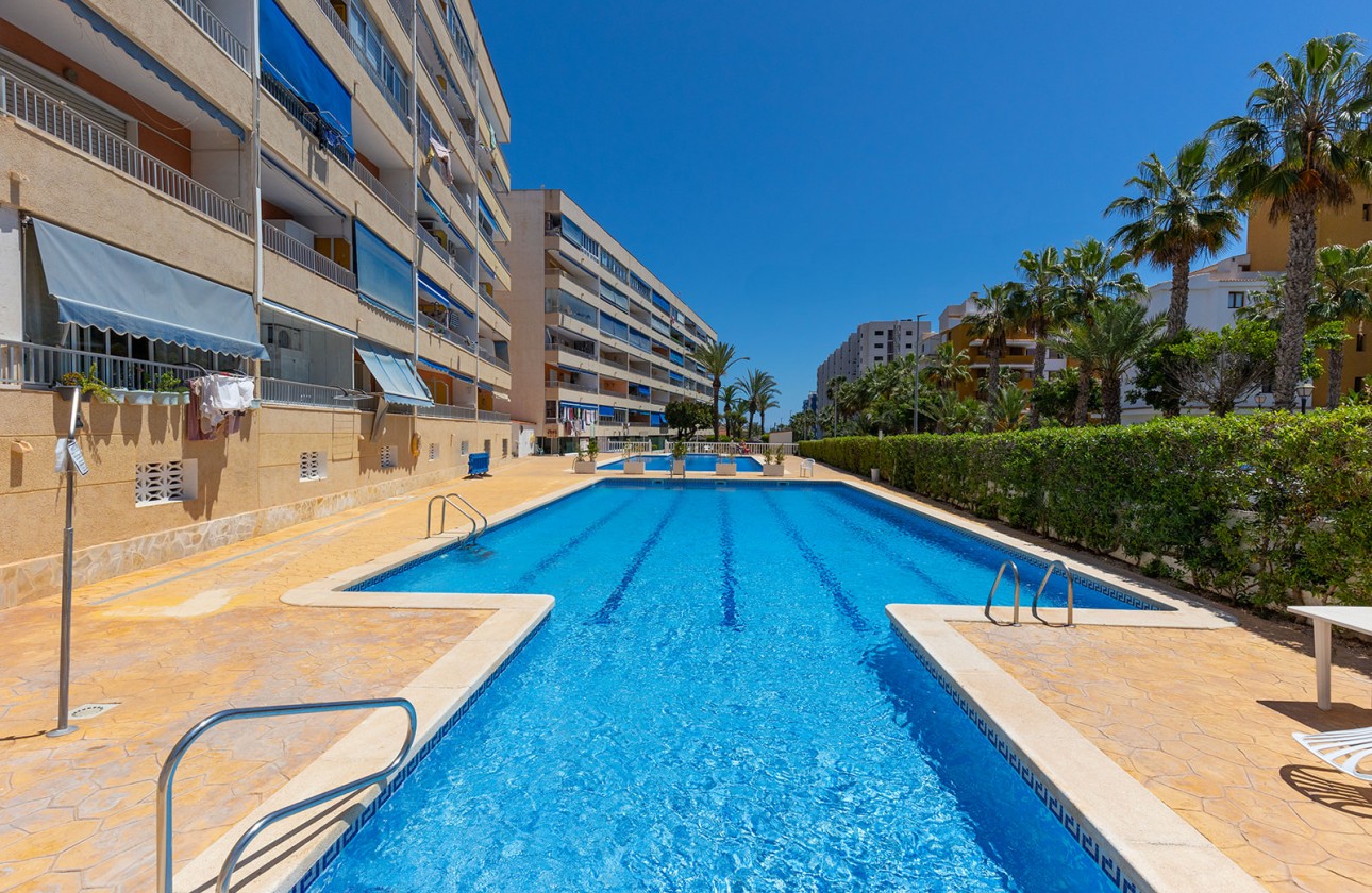 Återförsäljning -  - Torrevieja - Rocio del Mar