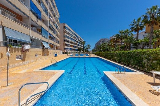 Återförsäljning -  - Torrevieja - Rocio del Mar