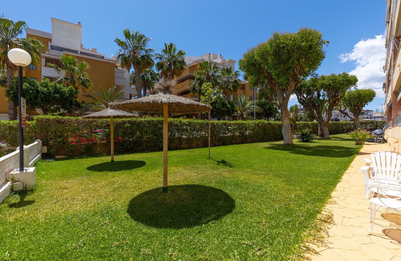 Återförsäljning -  - Torrevieja - Rocio del Mar