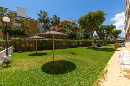 Återförsäljning -  - Torrevieja - Rocio del Mar