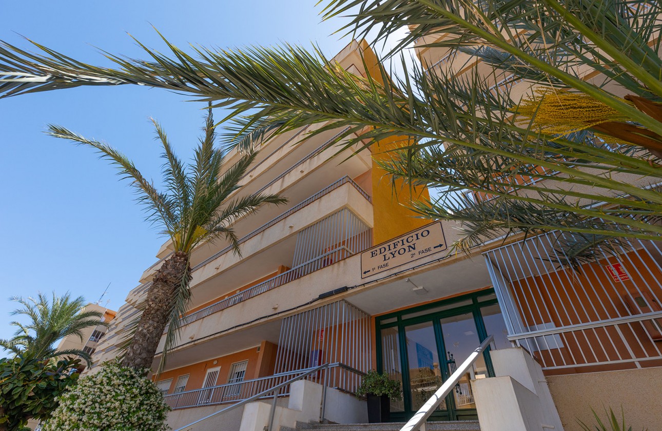 Återförsäljning -  - Torrevieja - Rocio del Mar