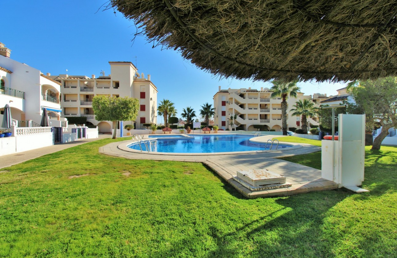Reventa - Apartamento - Playa Flamenca