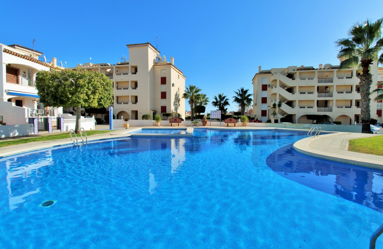 Reventa - Apartamento - Playa Flamenca