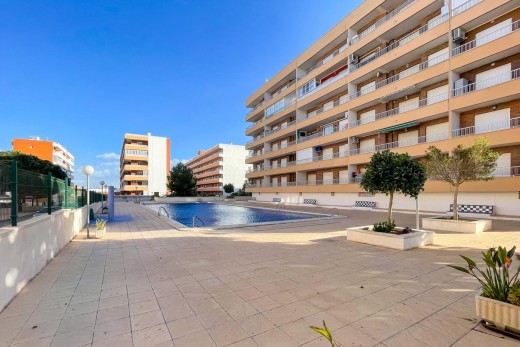 Återförsäljning -  - Torrevieja - Punta prima