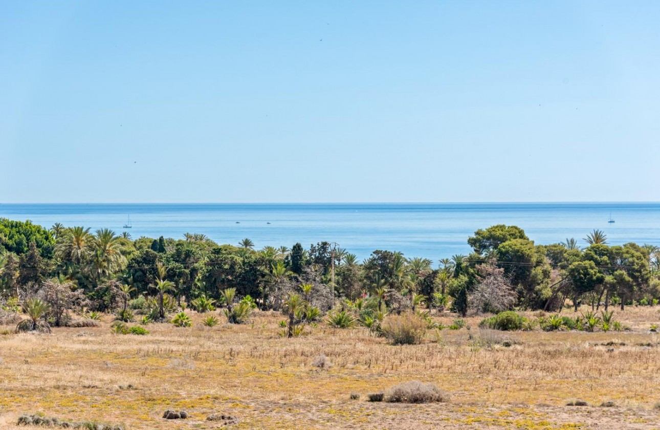 Återförsäljning -  - Torrevieja - Punta prima