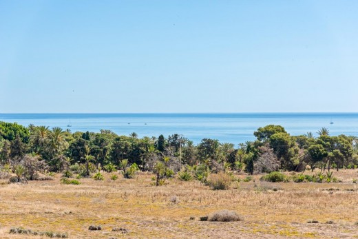 Återförsäljning -  - Torrevieja - Punta prima