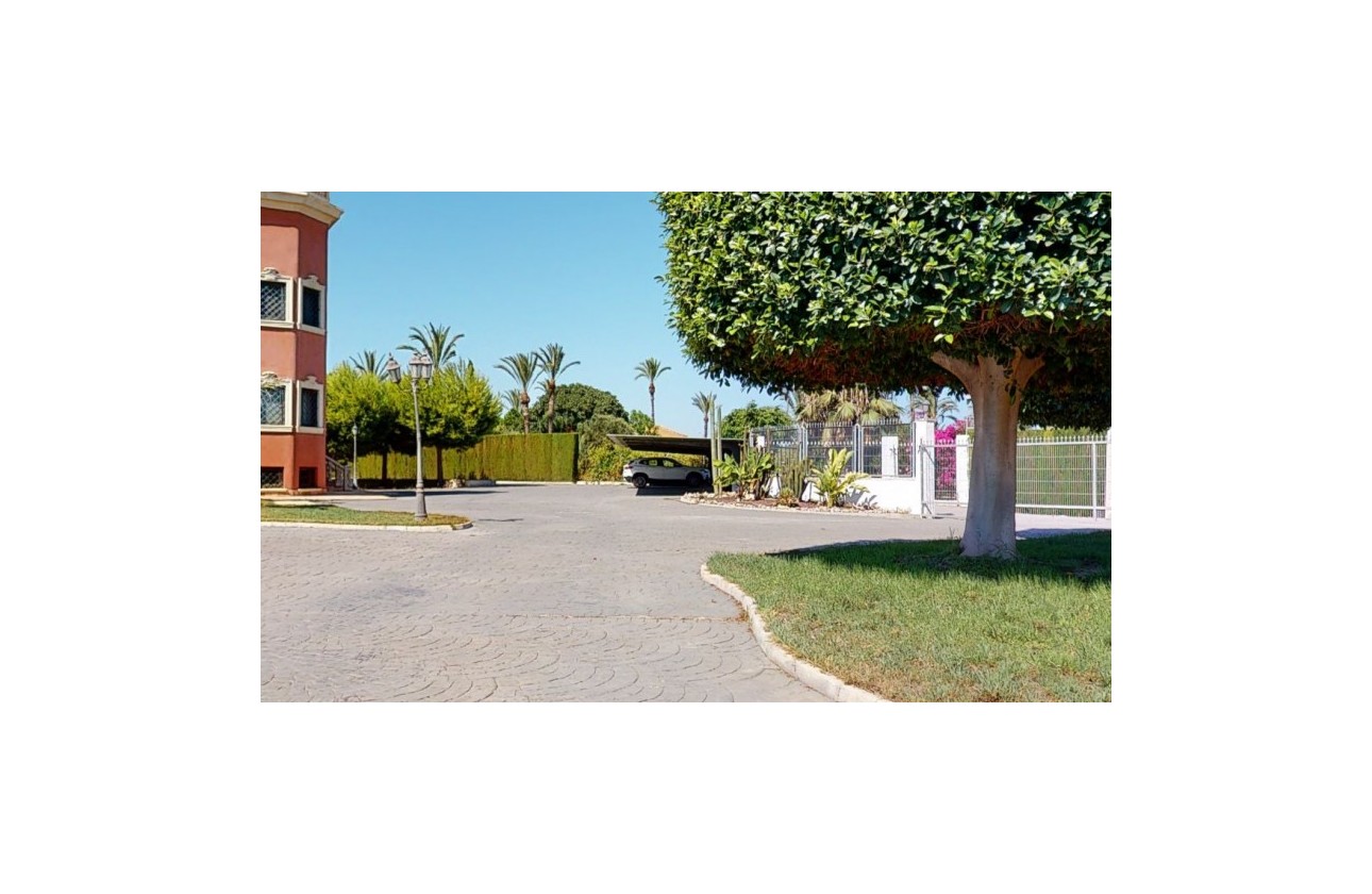 Återförsäljning -  - Elche