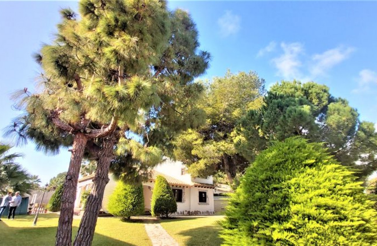 Återförsäljning -  - Torrevieja