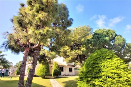 Återförsäljning -  - Torrevieja