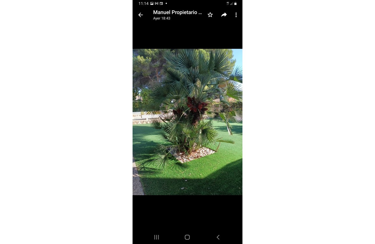 Reventa - Chalet - Campoamor