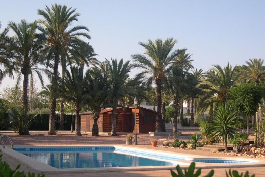Återförsäljning -  - Elche