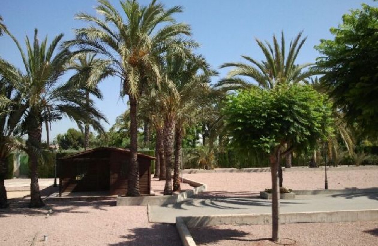 Återförsäljning -  - Elche