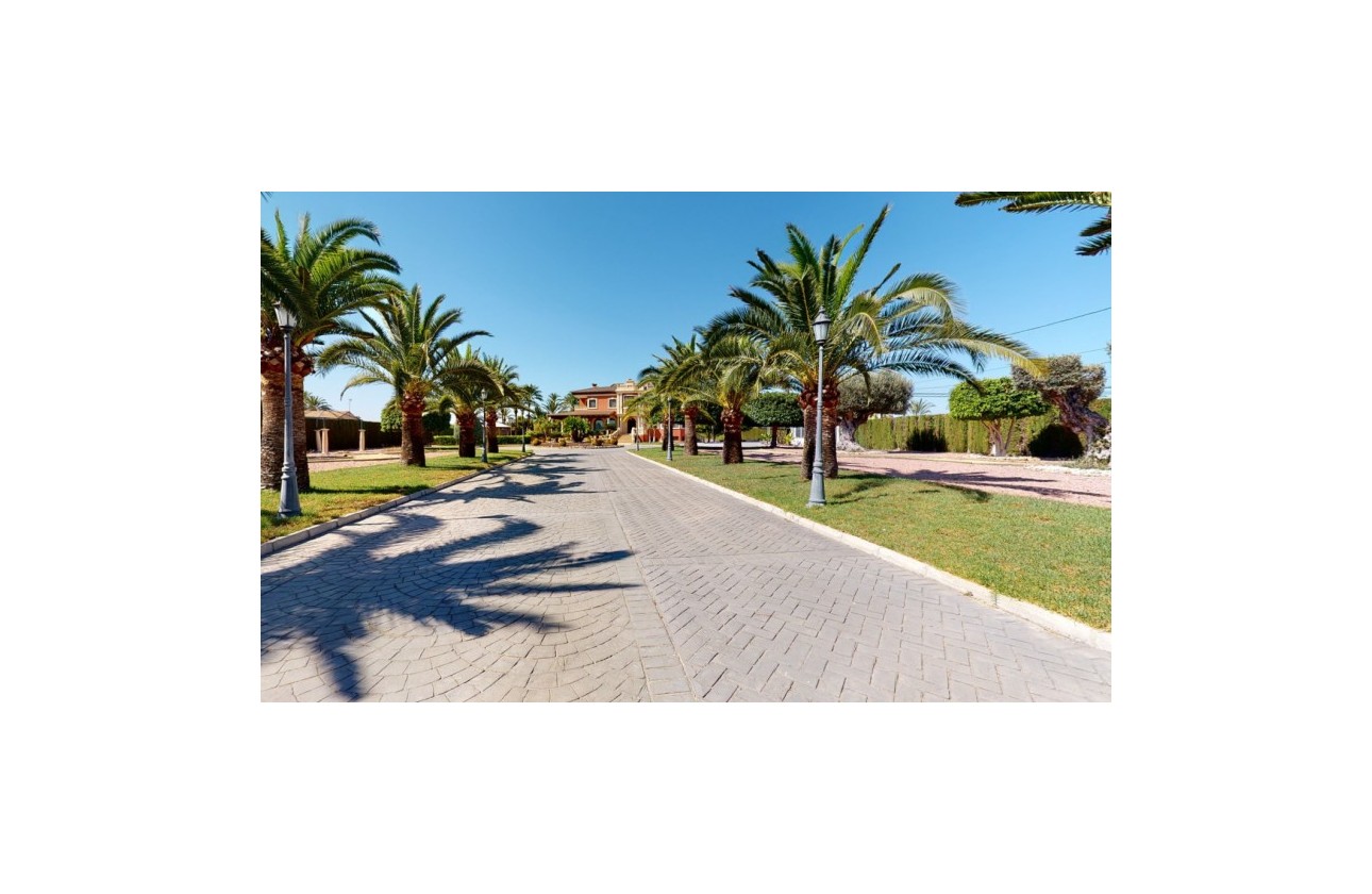 Återförsäljning -  - Elche