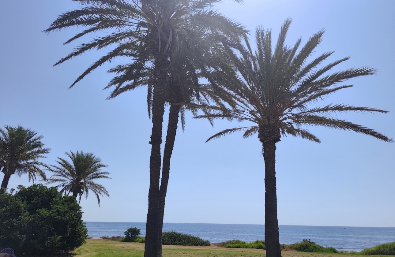 Reventa - Apartamento - Torrevieja - Punta prima