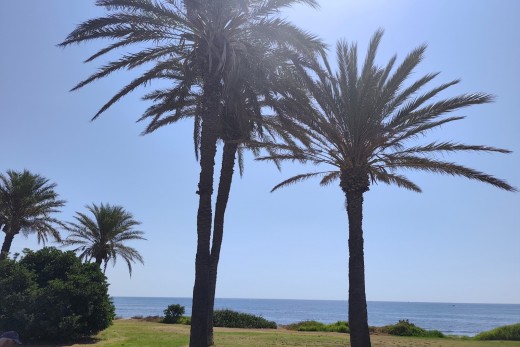 Reventa - Apartamento - Torrevieja - Punta prima