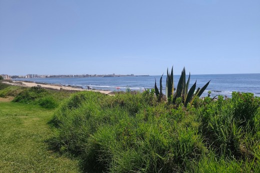 Reventa - Apartamento - Torrevieja - Punta prima