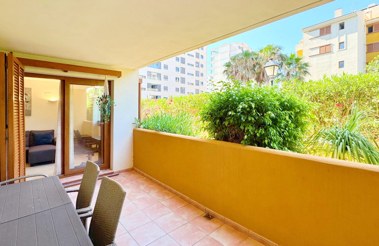 Återförsäljning -  - Torrevieja - Punta prima